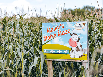 Maisy’s Maize Maze at Park Hall