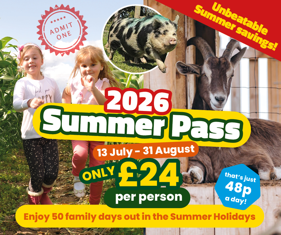 Summer Pass Summer Pass