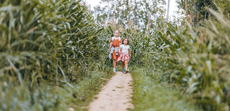 kids having great fun in the maze