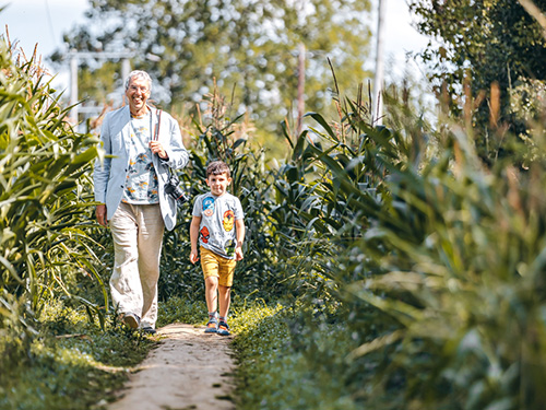 visitors enjoying being lost in the maze