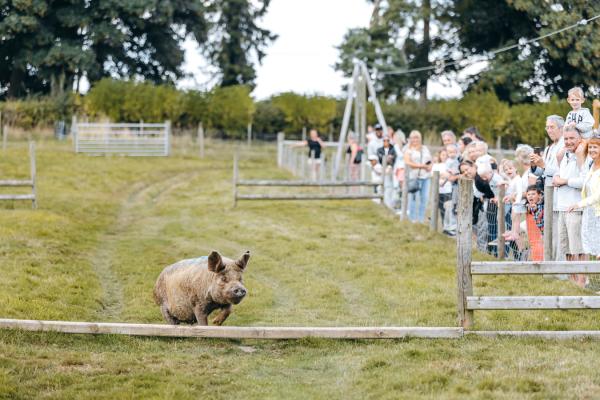 Park Hall Farm Countryside Experience